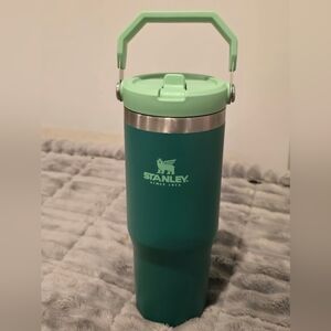 Stanley ALPINE With Mint Lid  Flip Straw Tumbler Hard To Find Color Combination